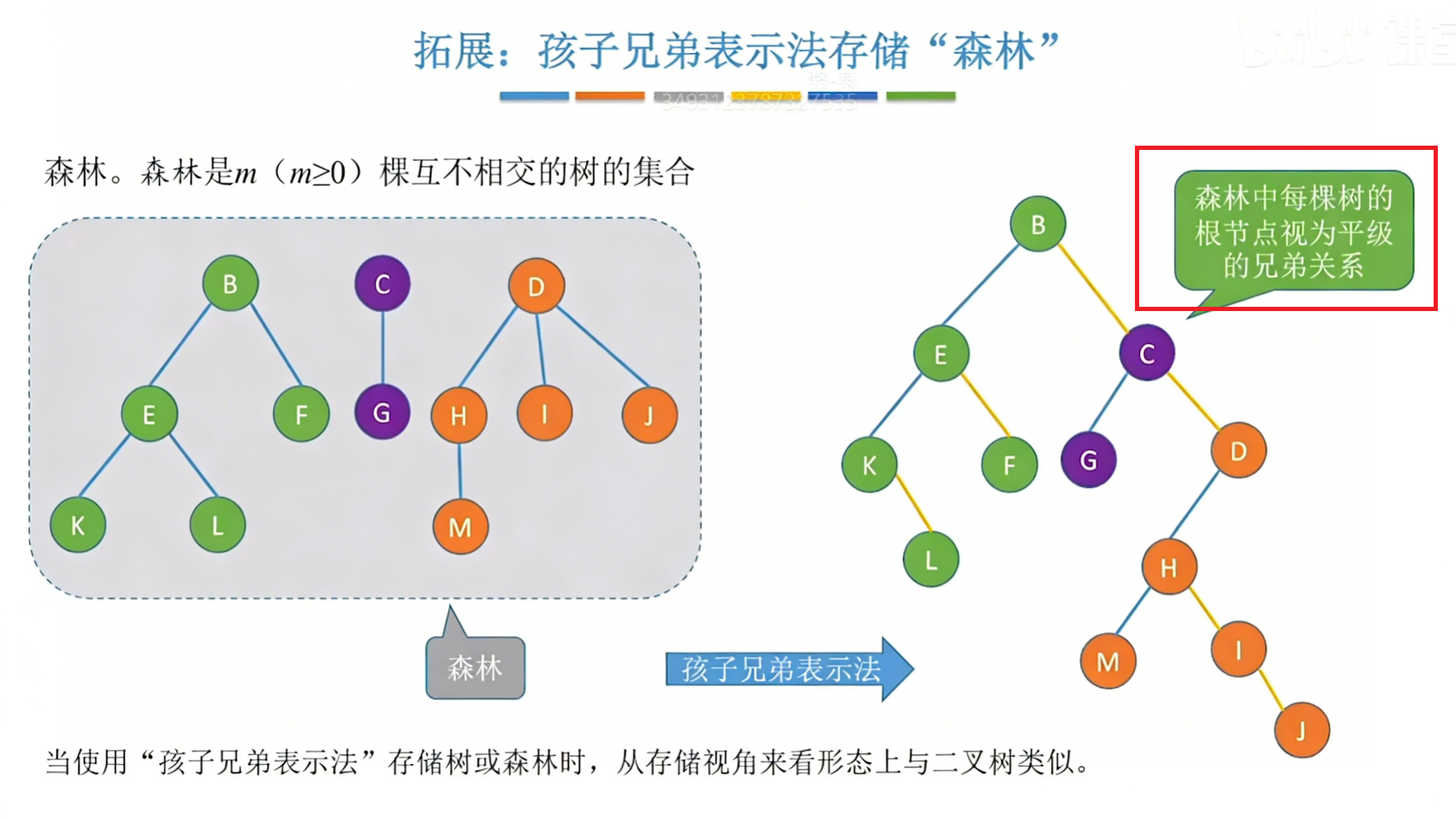 森林孩子兄弟表示法