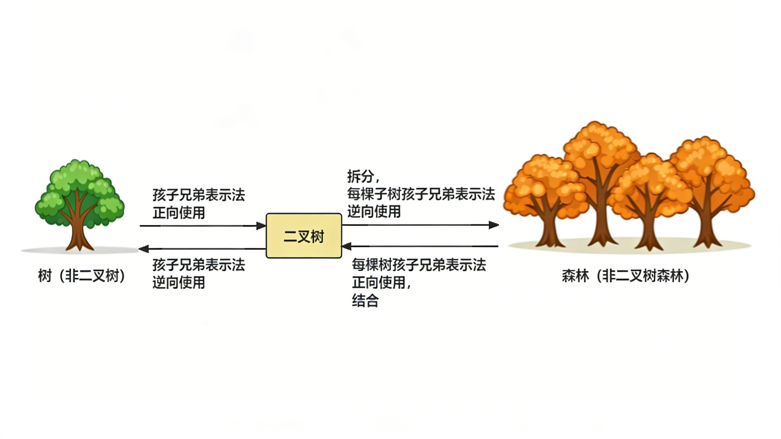 树、森林和二叉树的转换