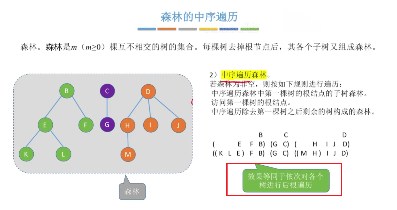 森林的中序遍历
