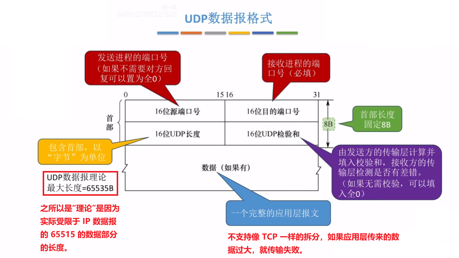 UDP 数据报格式