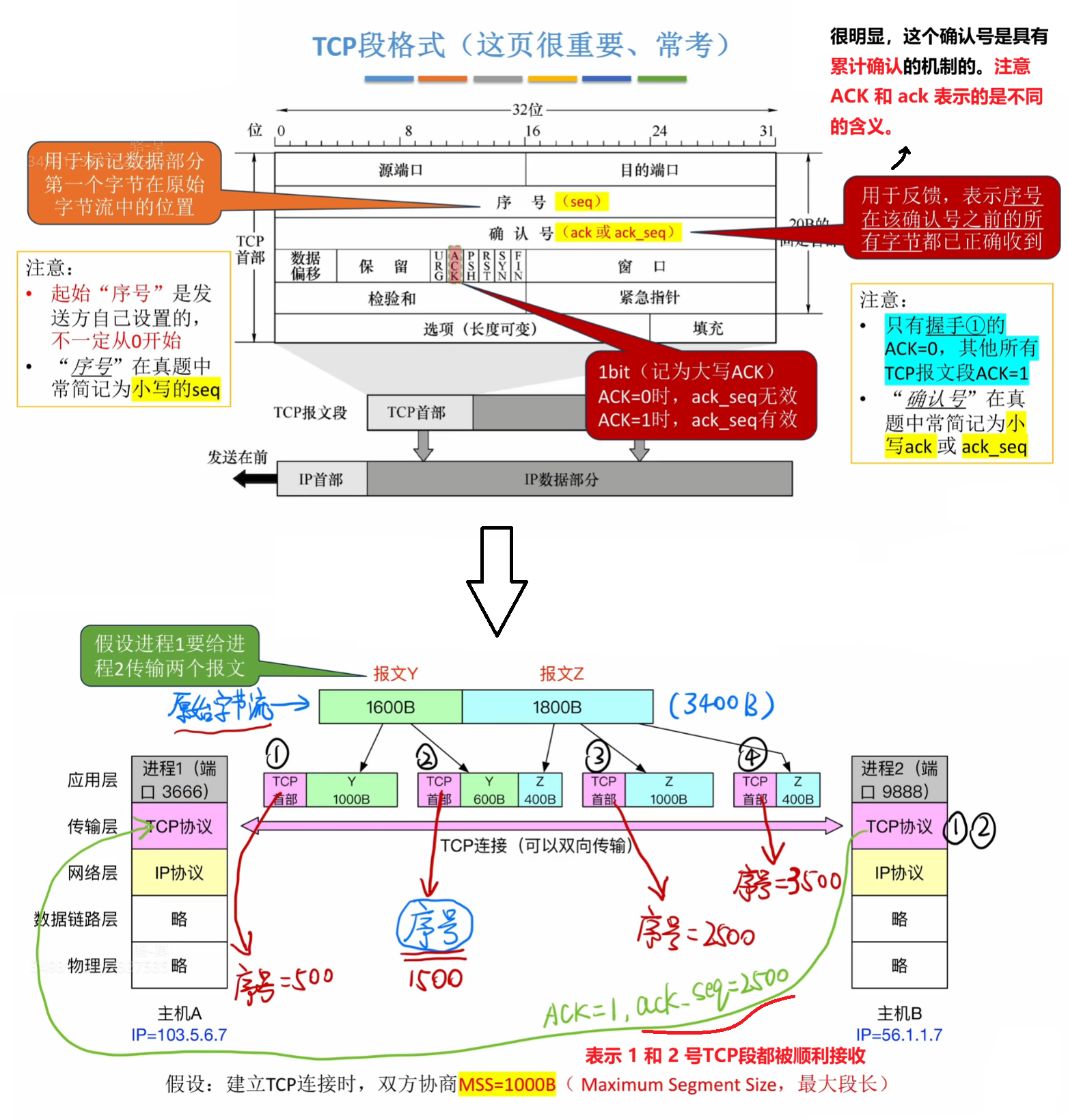 ACK、ack 和 序号