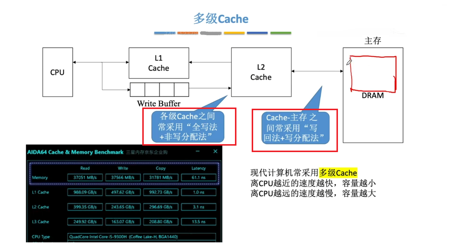 多级 Cache 结构