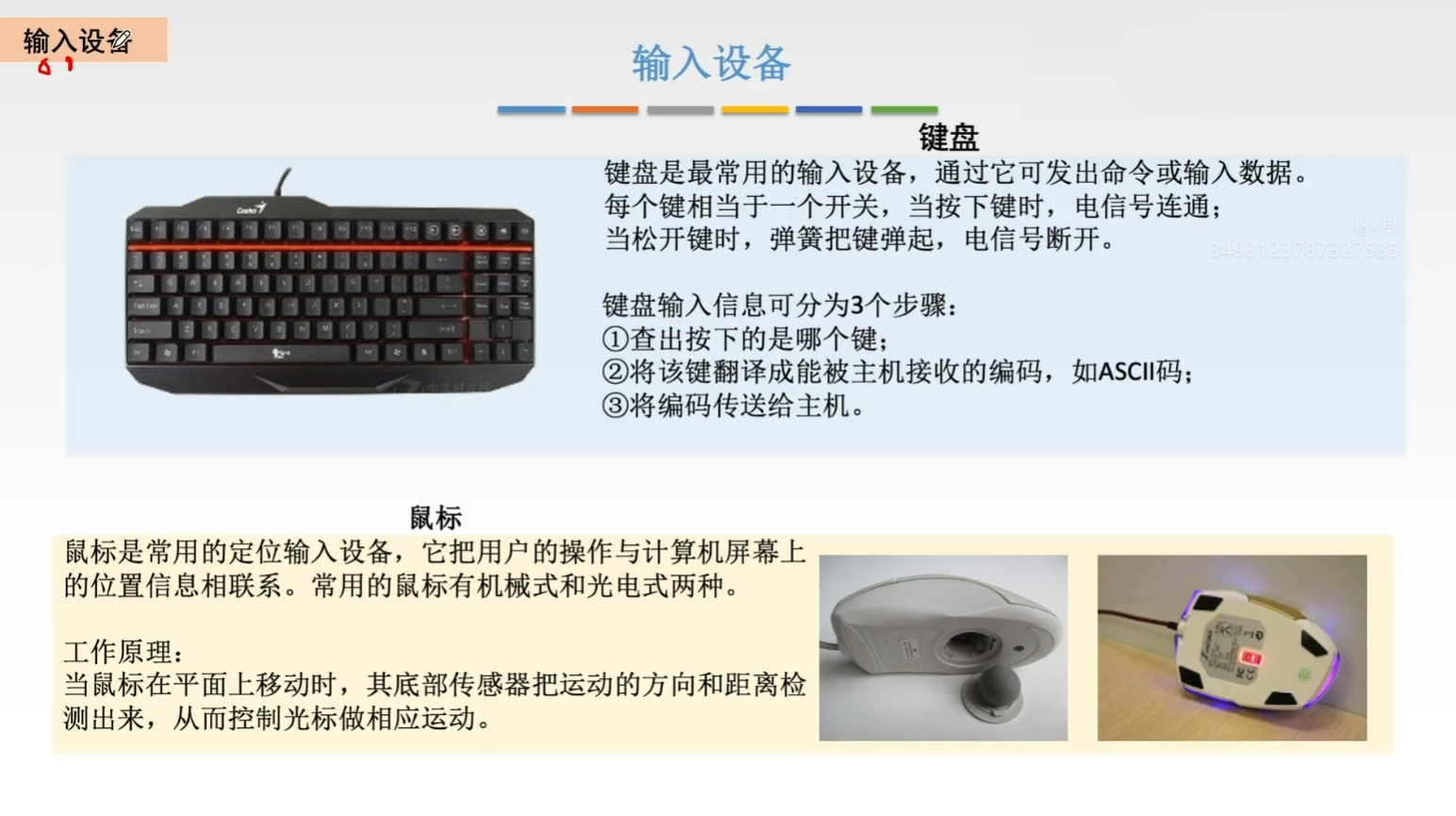 常见输入设备